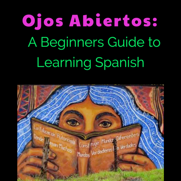 Spanish Study Guide OA